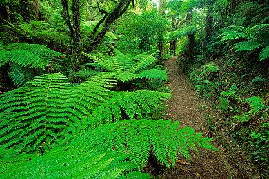 类魂游戏《鸦之咒誓》上架Steam 7月10日开启众筹